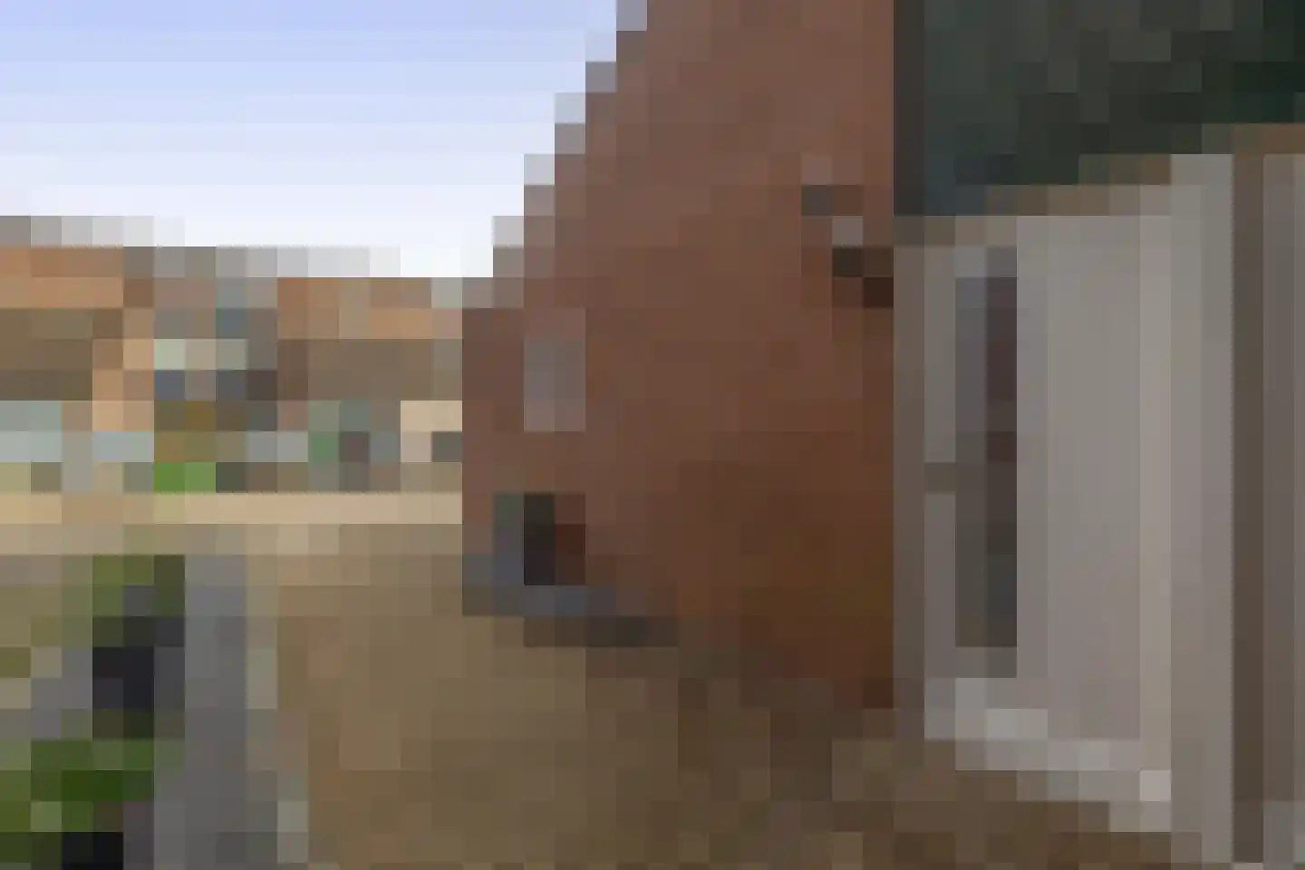 Arkelhof 10 Zevenbergen thumbnail 9