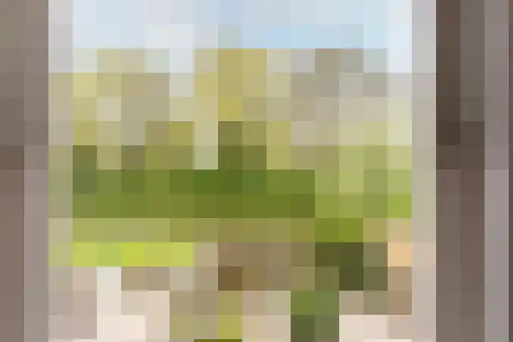 Arkelhof 115 Zevenbergen thumbnail 21