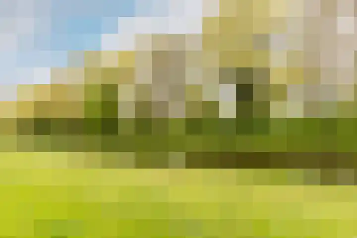 Arkelhof 115 Zevenbergen thumbnail 29
