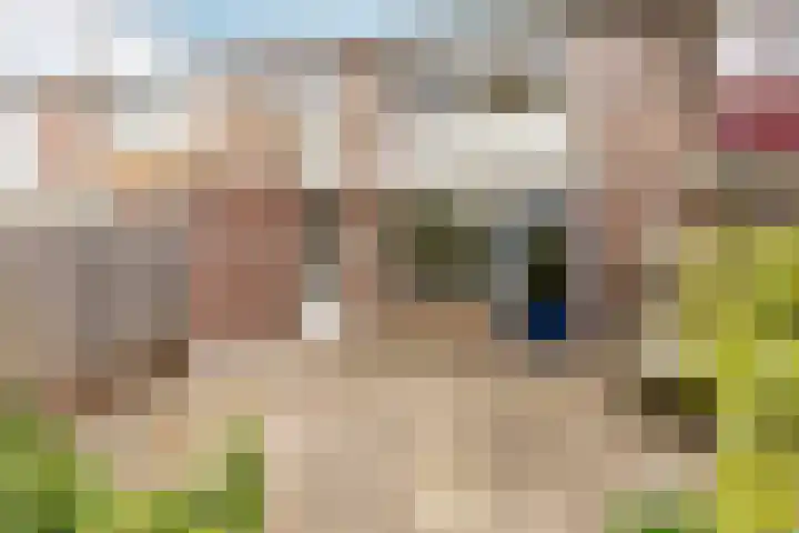 Arkelhof 115 Zevenbergen thumbnail 31