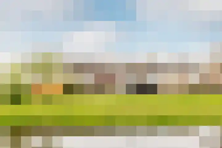 Arkelhof 115 Zevenbergen thumbnail 39