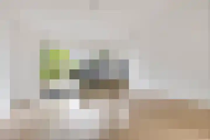 Arkelhof 159 Zevenbergen thumbnail 11