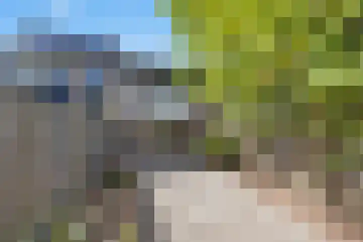 Arkelhof 159 Zevenbergen thumbnail 25