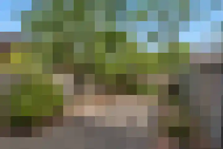 Arkelhof 159 Zevenbergen thumbnail 27