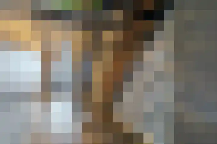 Arkelhof 177 Zevenbergen thumbnail 9