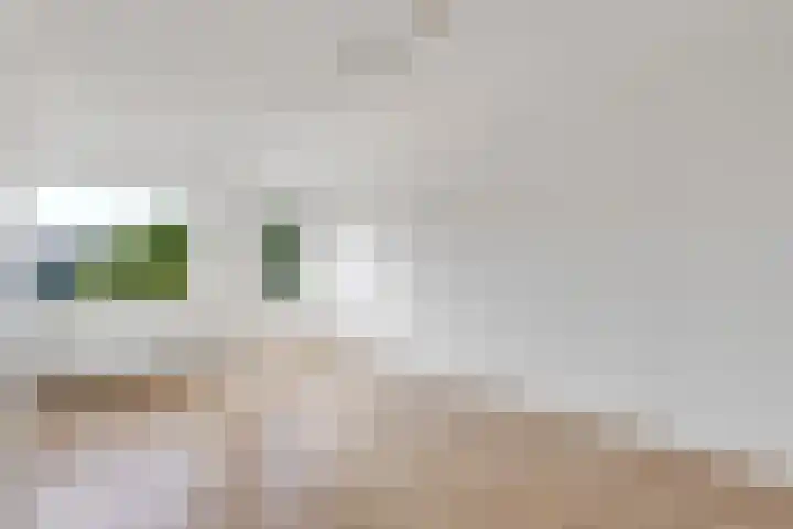 Arkelhof 76 Zevenbergen thumbnail 17