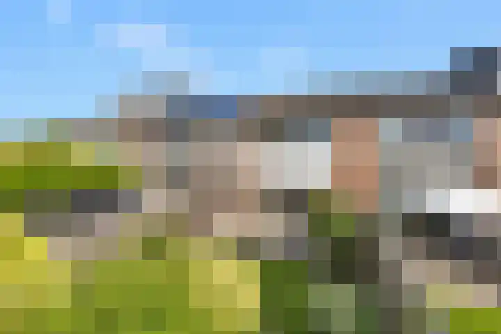 Arkelhof 76 Zevenbergen thumbnail 25