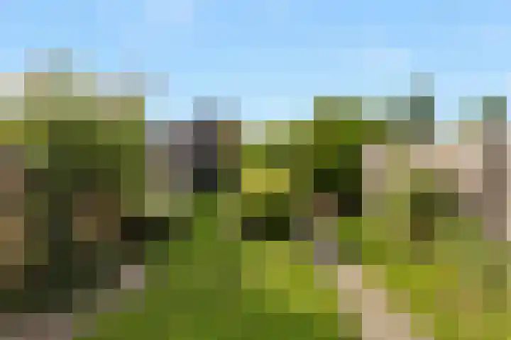 Arkelhof 76 Zevenbergen thumbnail 26