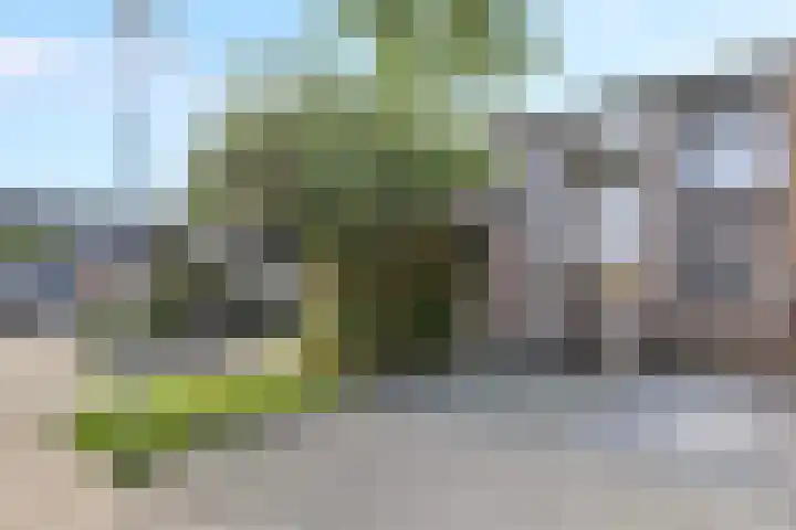 Arkelhof 76 Zevenbergen thumbnail 36