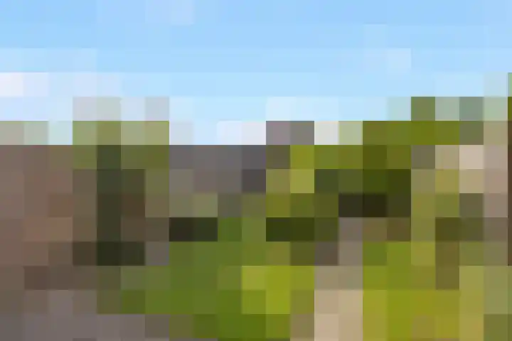 Arkelhof 76 Zevenbergen thumbnail 6