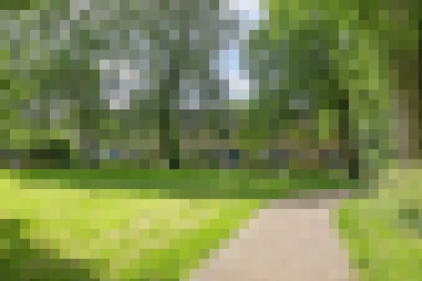Arkelplantsoen 9 Arnhem thumbnail 38