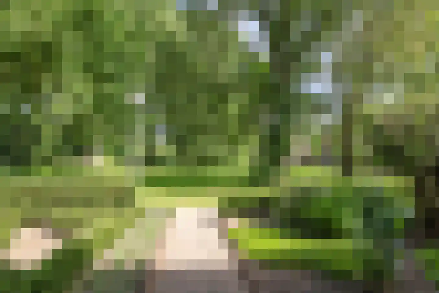 Arkelplantsoen 9 Arnhem thumbnail 40