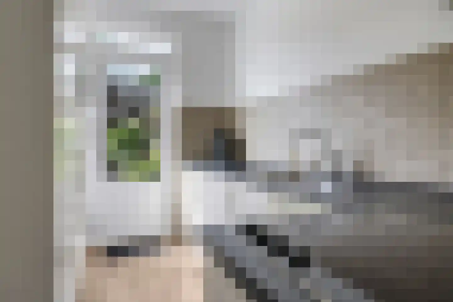 Arkelplantsoen 9 Arnhem thumbnail 9