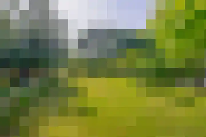 Arkelse Onderweg 122 Gorinchem thumbnail 15