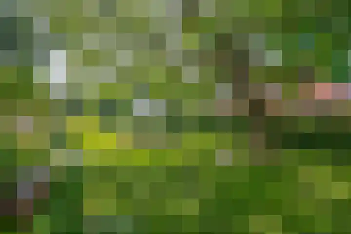 Arkelse Onderweg 122 Gorinchem thumbnail 4