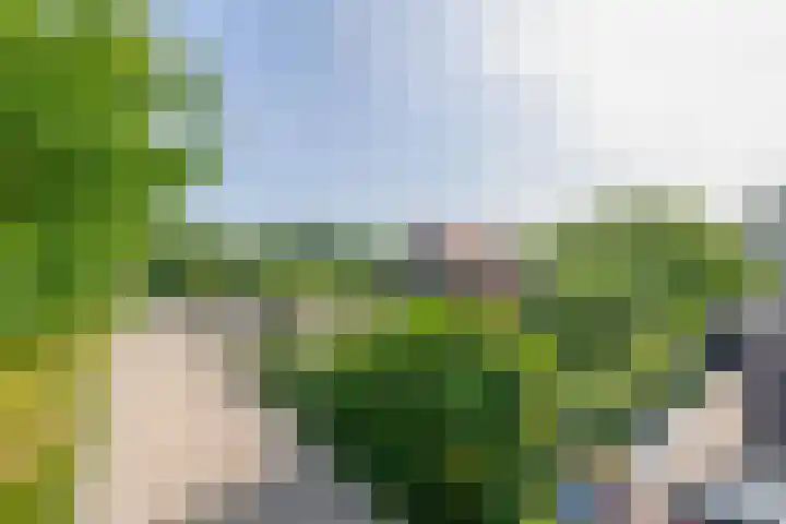 Arkelse Onderweg 122 Gorinchem thumbnail 43