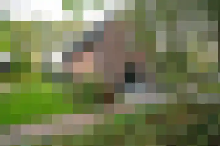 Arkelse Onderweg 147 Gorinchem thumbnail 4
