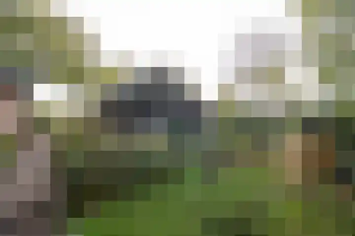 Arkelse Onderweg 147 Gorinchem thumbnail 5