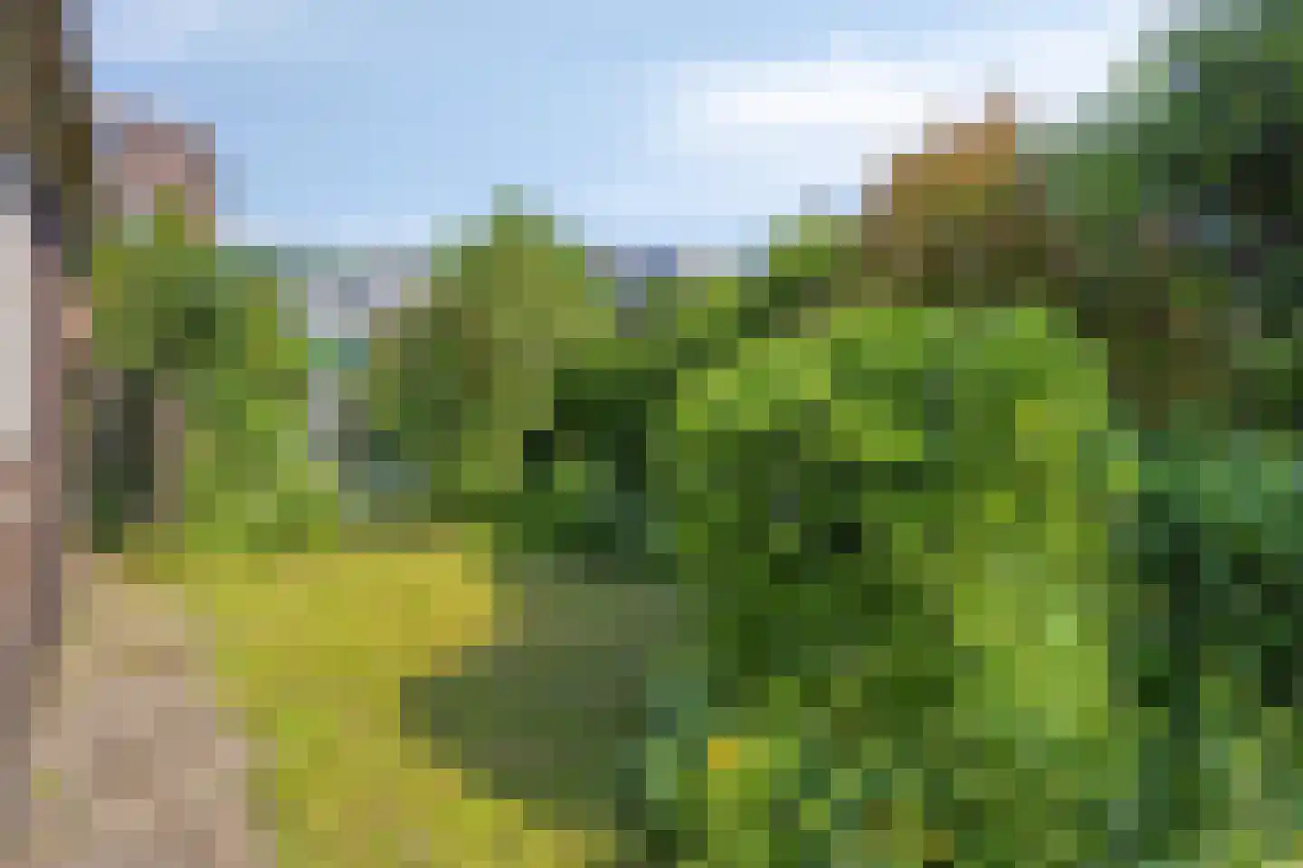 Arkelse Onderweg 22 Gorinchem thumbnail 20