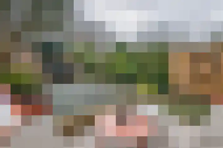 Arkelse Onderweg 8 Gorinchem thumbnail 38