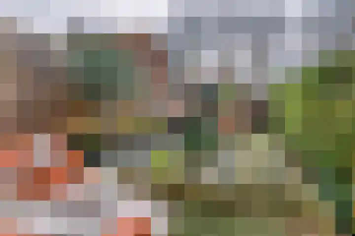 Arkelse Onderweg 8 Gorinchem thumbnail 4