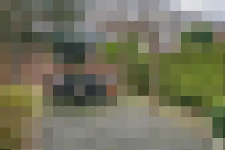 Arkelse Onderweg 8 Gorinchem thumbnail 40
