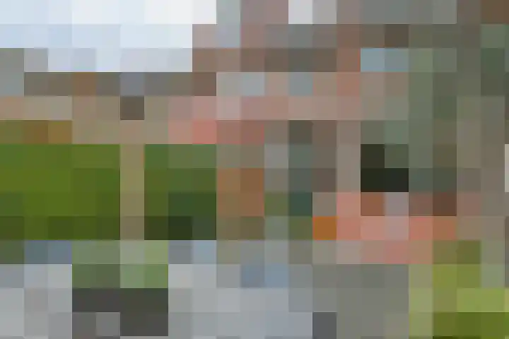 Arkelse Onderweg 8 Gorinchem thumbnail 42