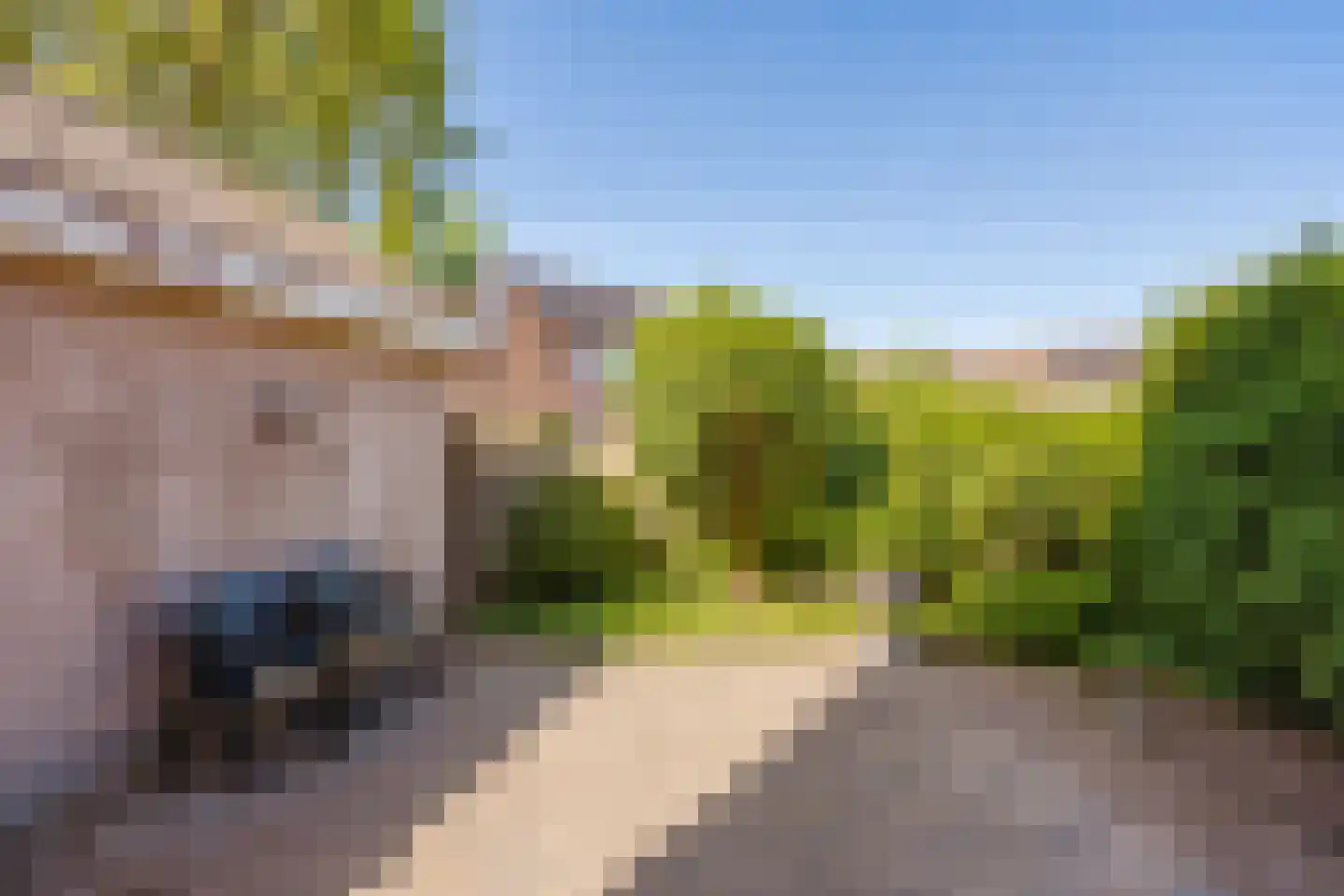 Arkelse Onderweg 85 Gorinchem thumbnail 11