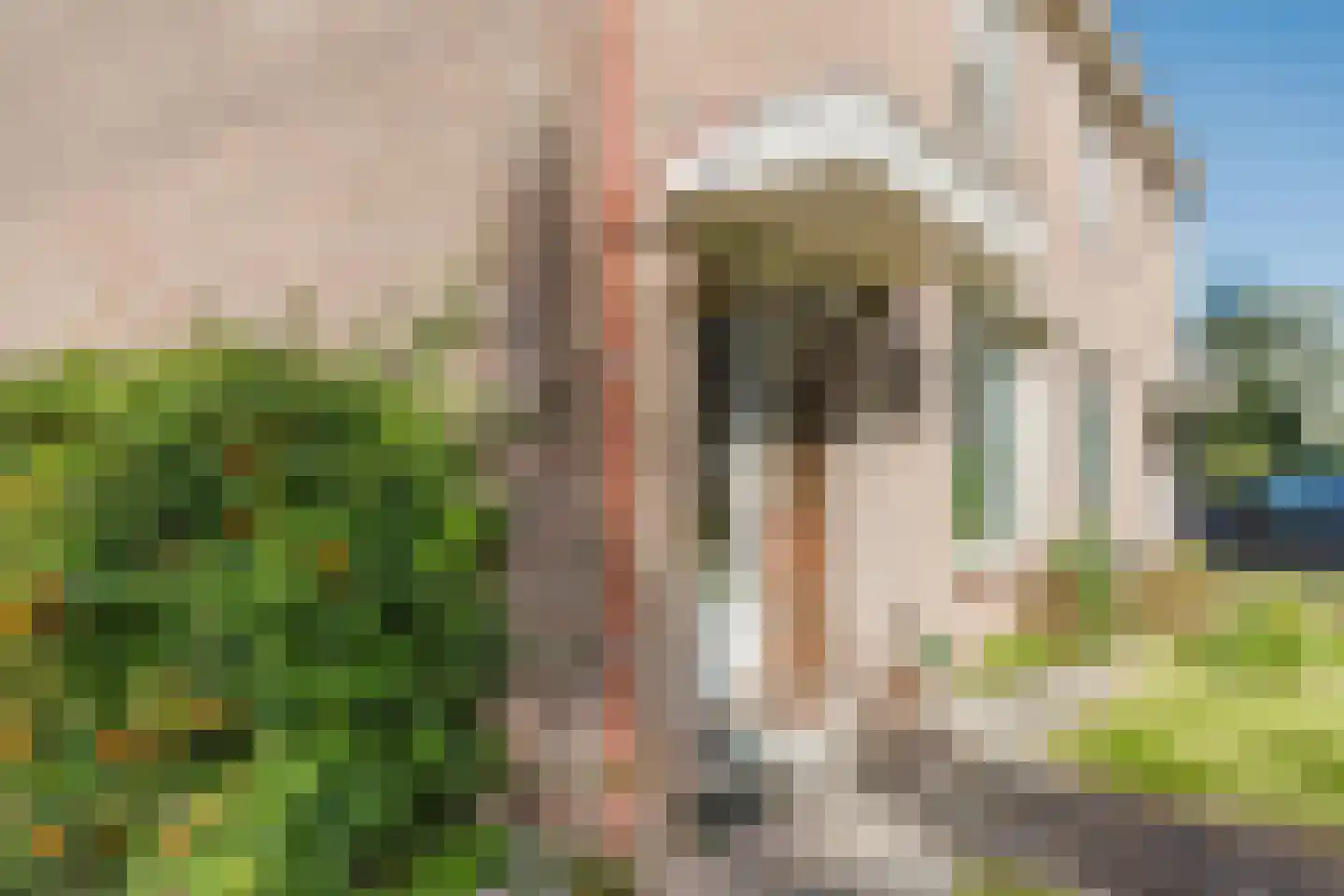 Arkelse Onderweg 85 Gorinchem thumbnail 6
