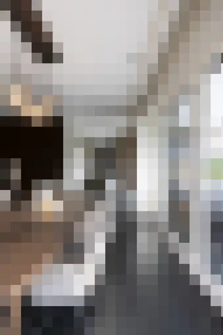 Arkelsteijnweg 10 Bathmen thumbnail 10