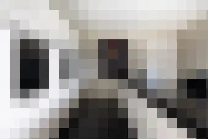 Arkelsteijnweg 10 Bathmen thumbnail 14