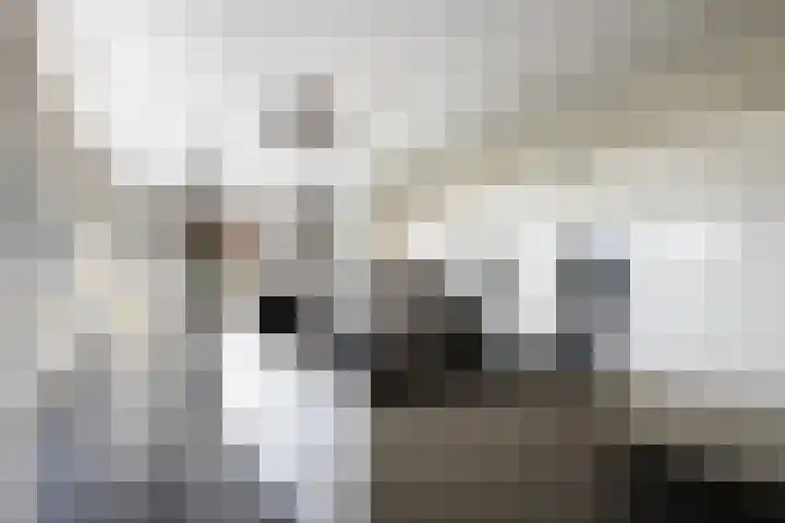 Arkelsteijnweg 10 Bathmen thumbnail 16