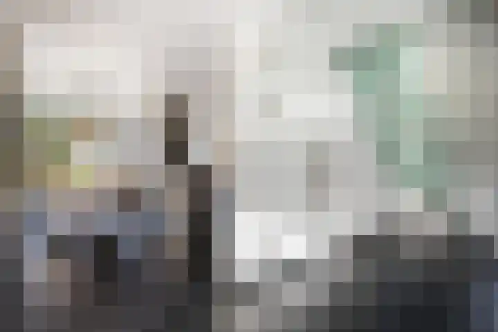 Arkelsteijnweg 10 Bathmen thumbnail 31