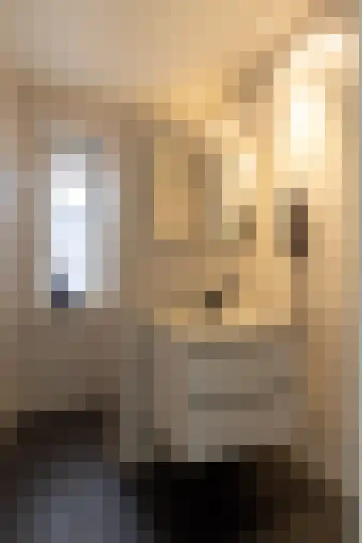 Arkelsteijnweg 10 Bathmen thumbnail 35