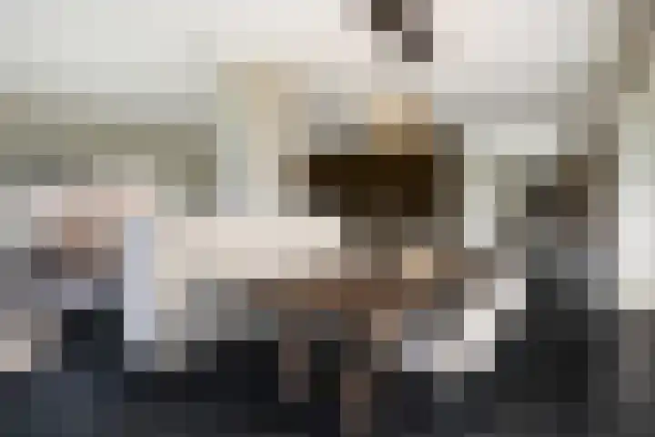 Arkelsteijnweg 10 Bathmen thumbnail 4
