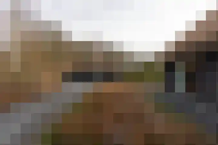 Arkelsteijnweg 10 Bathmen thumbnail 64