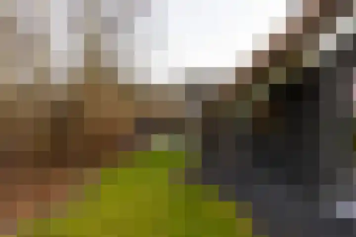 Arkelsteijnweg 10 Bathmen thumbnail 65