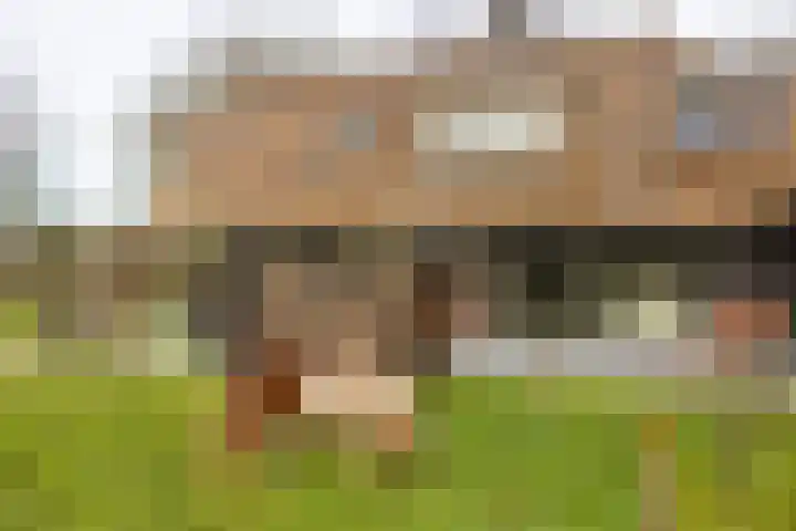Arkelsteijnweg 10 Bathmen thumbnail 67