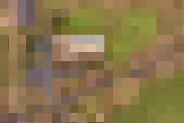 Arkelsteijnweg 10 Bathmen thumbnail 69