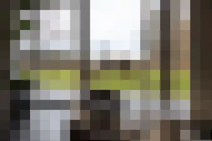 Arkelsteijnweg 10 Bathmen thumbnail 7