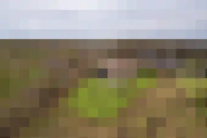 Arkelsteijnweg 10 Bathmen thumbnail 70