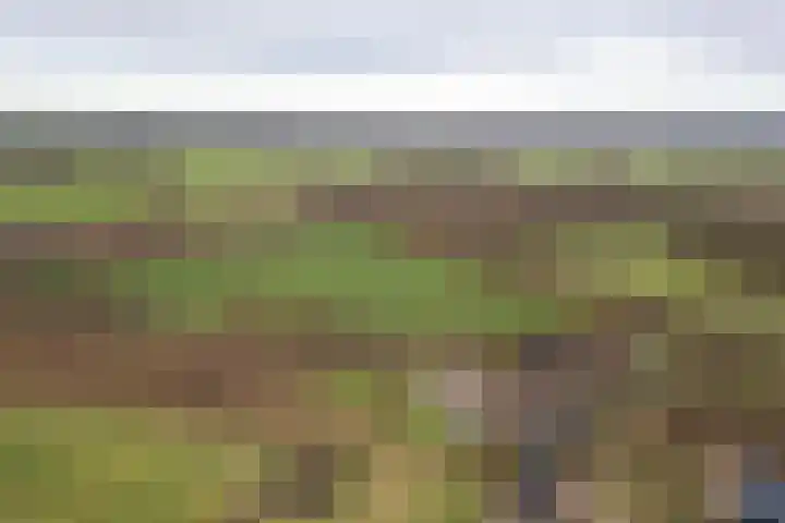 Arkelsteijnweg 10 Bathmen thumbnail 71