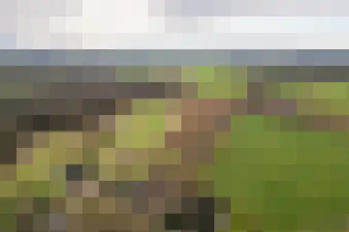 Arkelsteijnweg 10 Bathmen thumbnail 73
