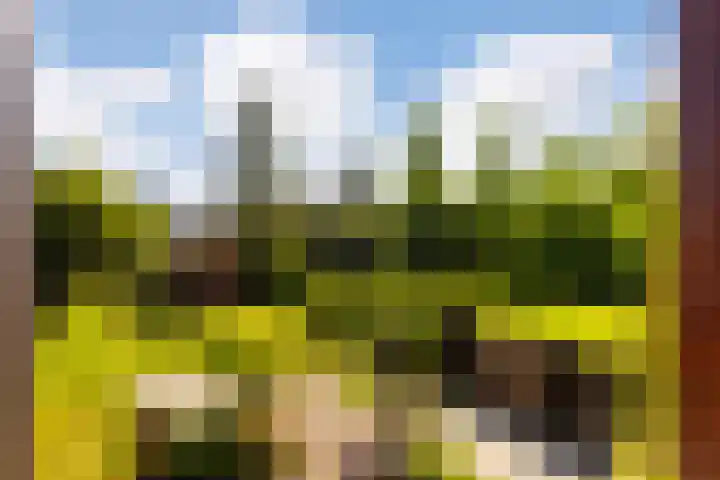 Arkelstein 10 Dordrecht thumbnail 36