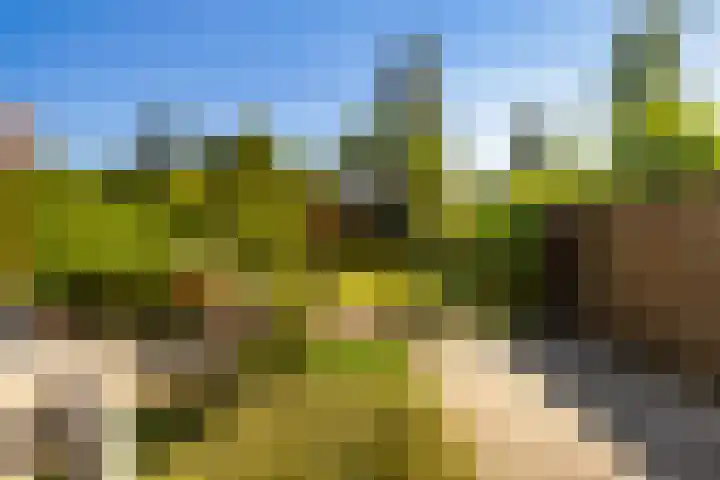 Arkelstein 10 Dordrecht thumbnail 4