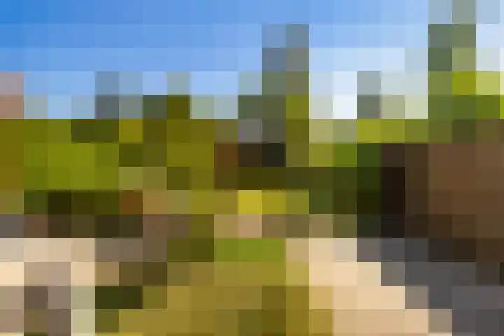 Arkelstein 10 Dordrecht thumbnail 57