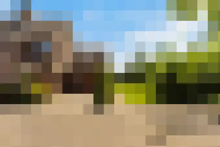 Arkelstein 10 Dordrecht thumbnail 6