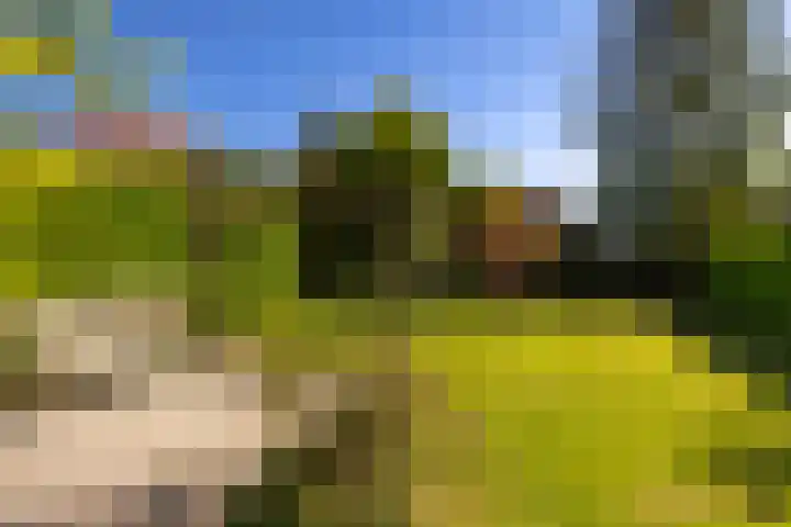 Arkelstein 10 Dordrecht thumbnail 61