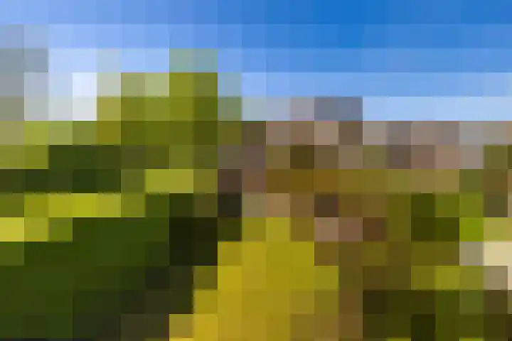 Arkelstein 10 Dordrecht thumbnail 63