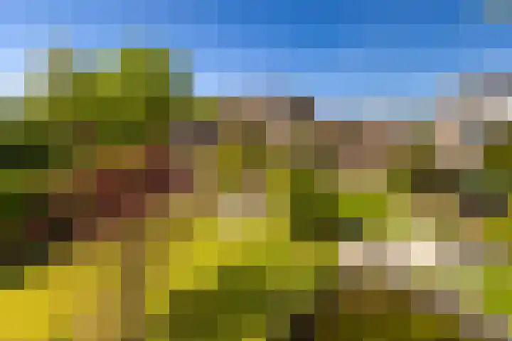 Arkelstein 10 Dordrecht thumbnail 64